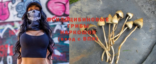 индика Аркадак