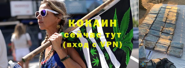 индика Аркадак