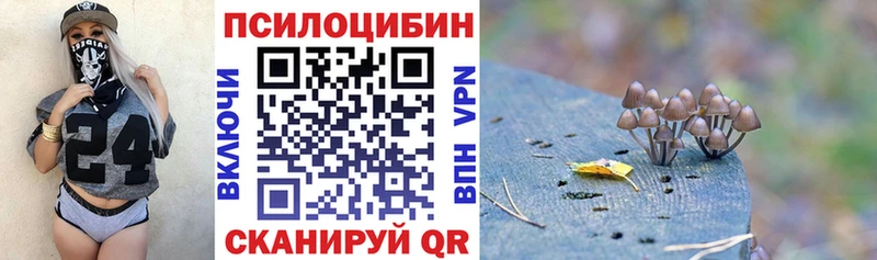 Псилоцибиновые грибы Cubensis  Купить закладки  Рузаевка 